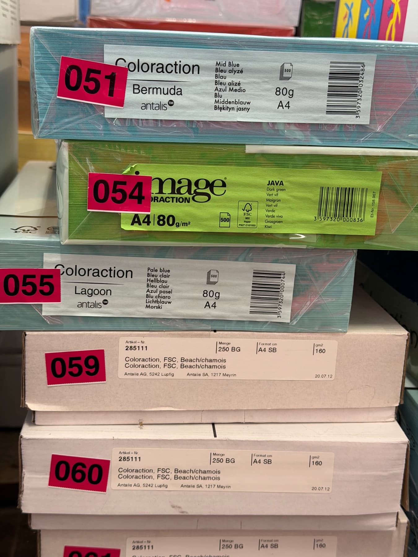 Coloraction Beach/Chamois