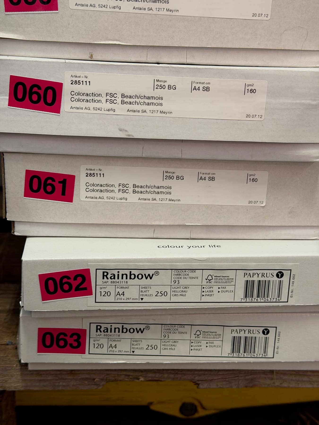 Coloraction Beach/Chamois