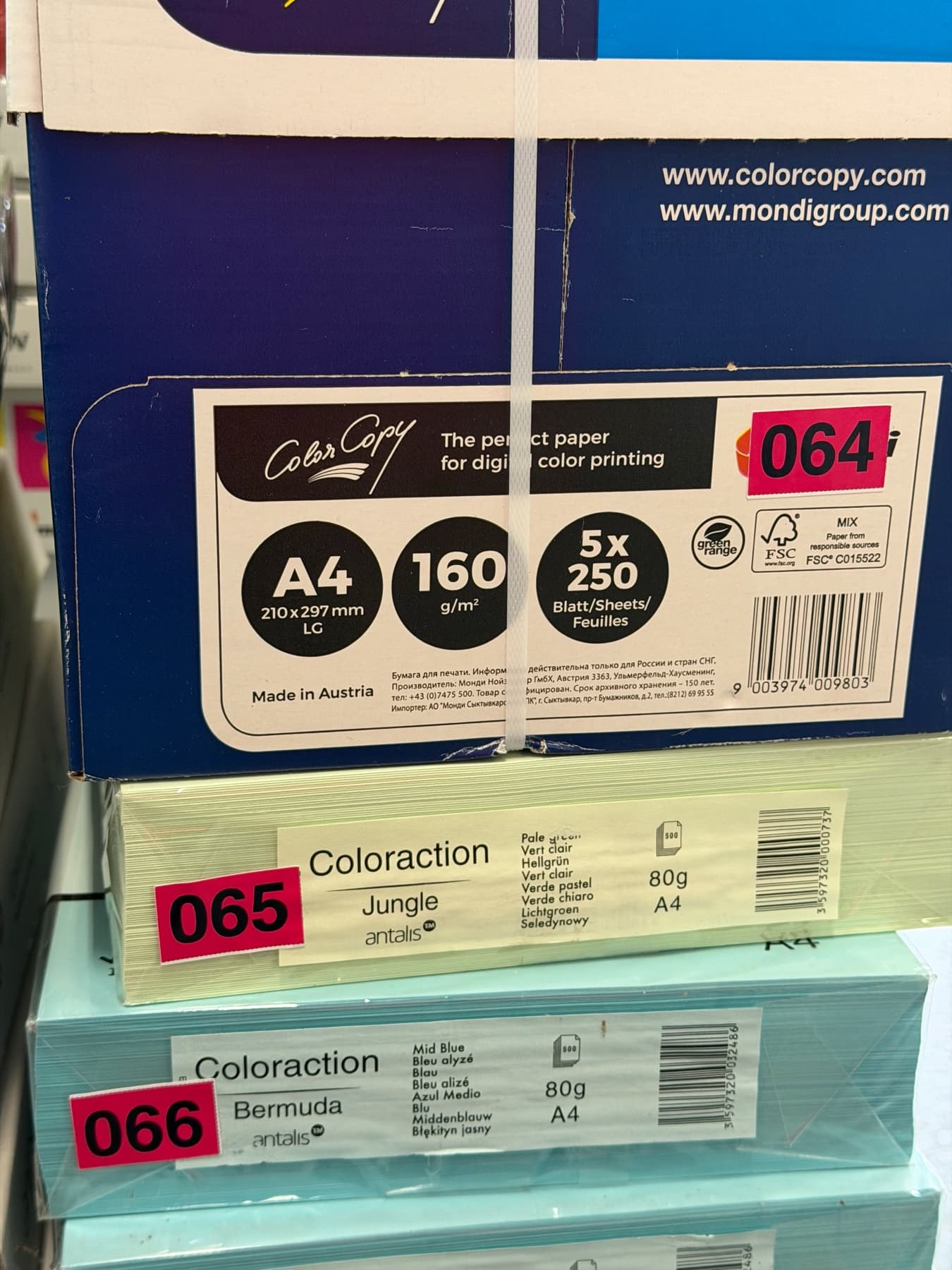 Coloraction Bermuda Mid Blue