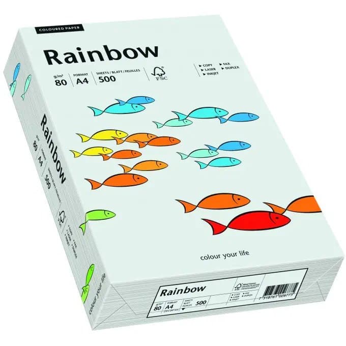 Rainbow Light Grey (colour code 93)
